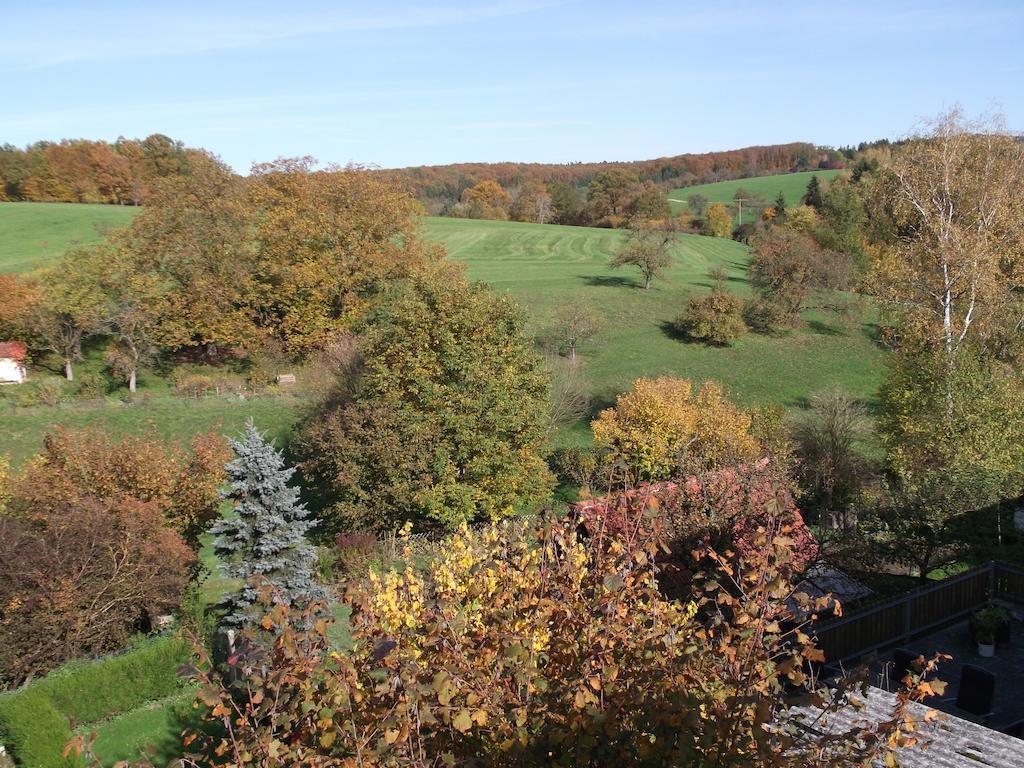 Gasthaus Vogelgarten ไอสลิงเงิน ภายนอก รูปภาพ